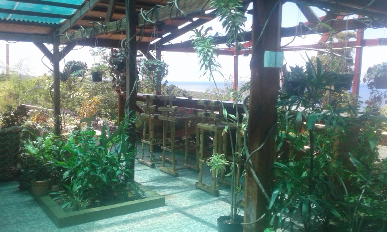 Jungle Of Peace Resort Siquijor Dış mekan fotoğraf