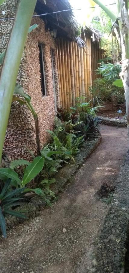 Jungle Of Peace Resort Siquijor Dış mekan fotoğraf