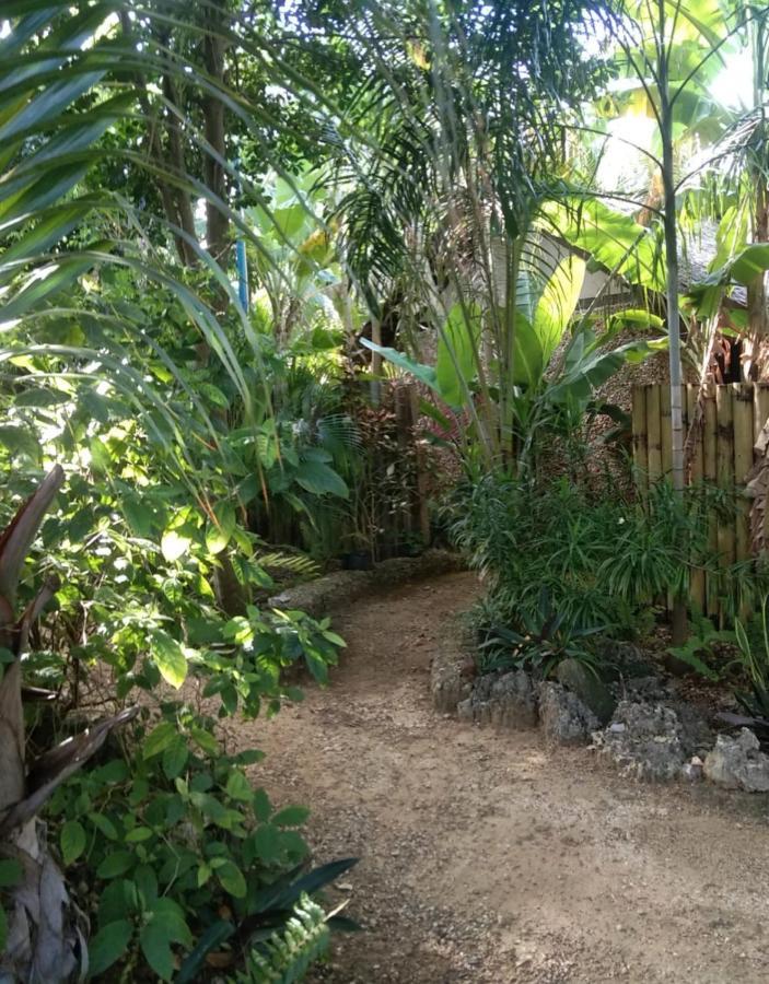 Jungle Of Peace Resort Siquijor Dış mekan fotoğraf