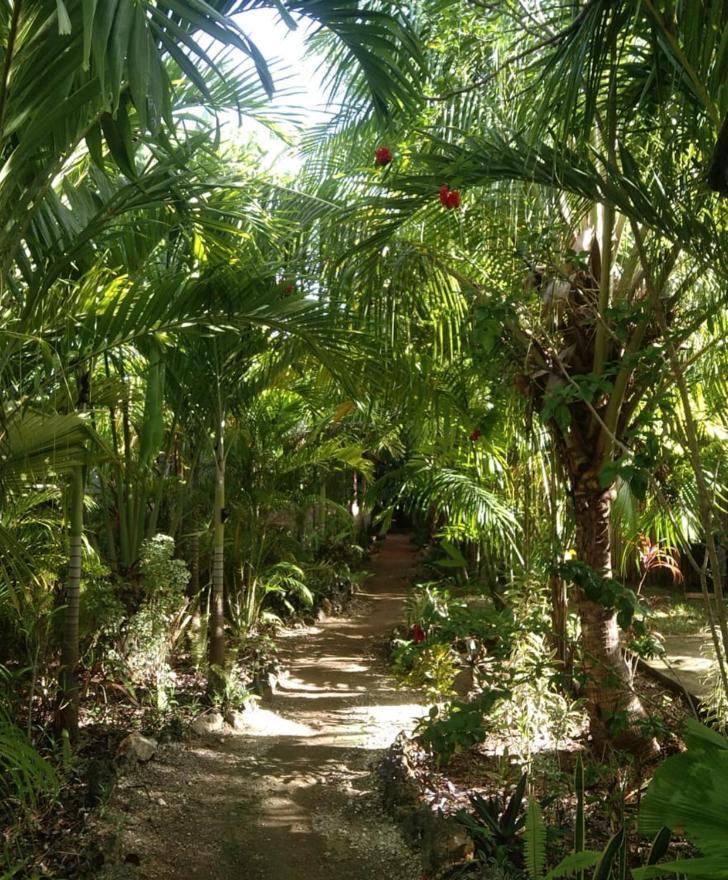 Jungle Of Peace Resort Siquijor Dış mekan fotoğraf
